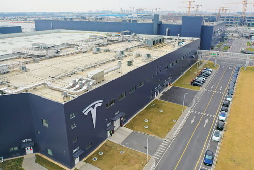 特稿 前沿产业因何集聚临港——滴水湖畔的适宜空气与土壤