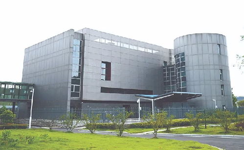 上海分院捷报频传 多项成果荣膺年度中国十大科技进展新闻，展现上海技术开发新高度