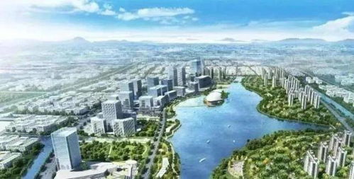 杭州湾新区 为何成为外地投资客的“香饽饽”？开发商敏锐嗅觉与上海技术开发的双重引力